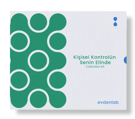 Karaciğer Fonksiyon Değerlendirme Test Kiti